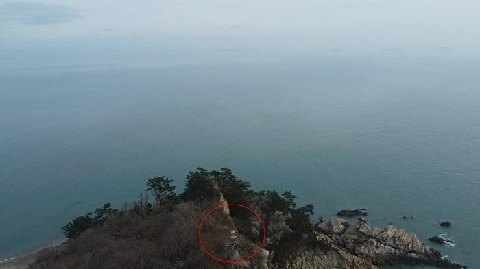 충청남도 태안군 근흥면 신진도리 산19 임야 경매 사진 13