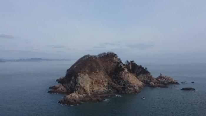 충청남도 태안군 근흥면 신진도리 산19 임야 경매 사진 16