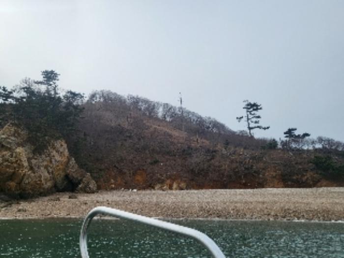 충청남도 태안군 근흥면 신진도리 산19 임야 경매 사진 19