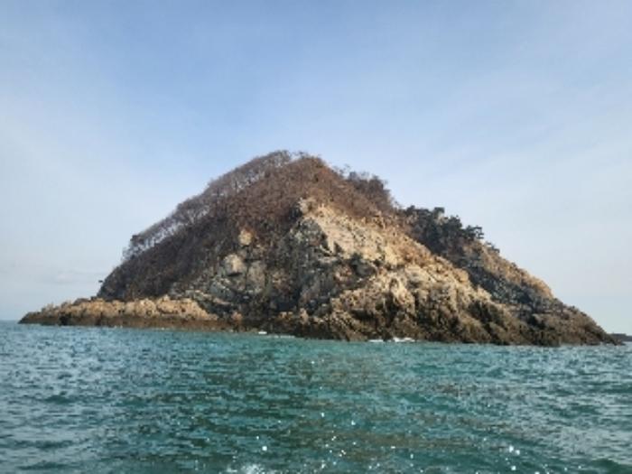 충청남도 태안군 근흥면 신진도리 산19 임야 경매 사진 20