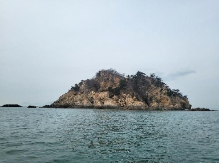 충청남도 태안군 근흥면 신진도리 산19 임야 경매 사진 21
