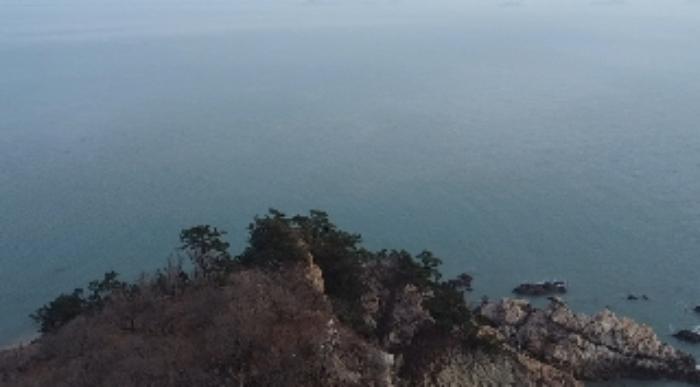 충청남도 태안군 근흥면 신진도리 산19 임야 경매 사진 24