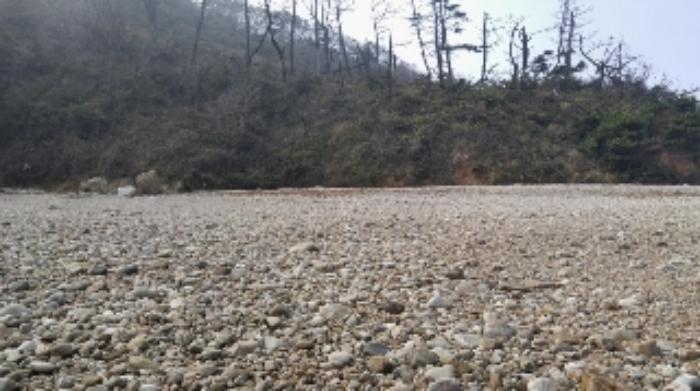 충청남도 태안군 근흥면 신진도리 산19 임야 경매 사진 25