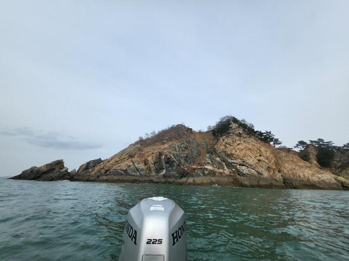 충청남도 태안군 근흥면 신진도리 산19 임야 경매 사진 3