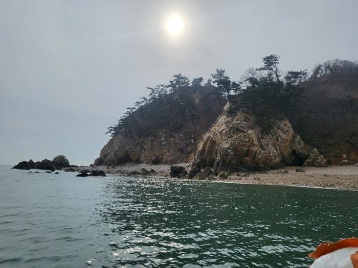 충청남도 태안군 근흥면 신진도리 산19 임야 경매 사진 5