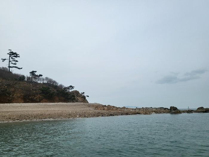 충청남도 태안군 근흥면 신진도리 산19 임야 경매 사진 6