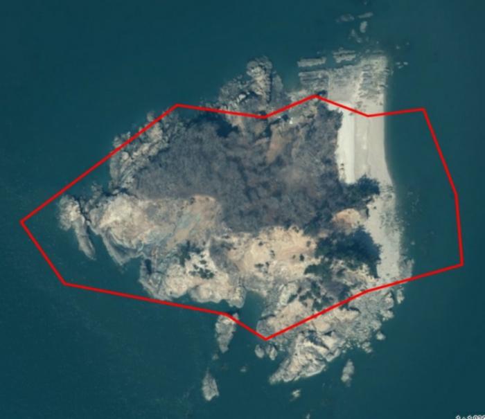 충청남도 태안군 근흥면 신진도리 산19 임야 경매 사진 7