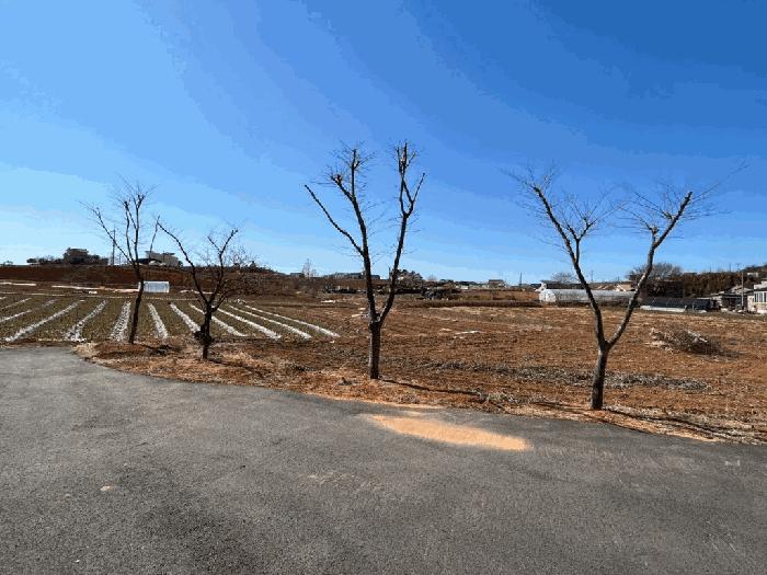 충청남도 태안군 태안읍 남문리 40 근린시설 경매 사진 2