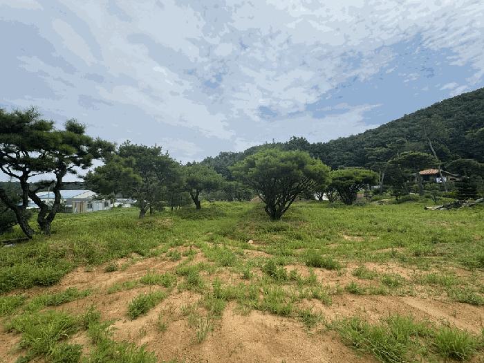 경기도 파주시 광탄면 신산리 329-8 답 경매 사진 1