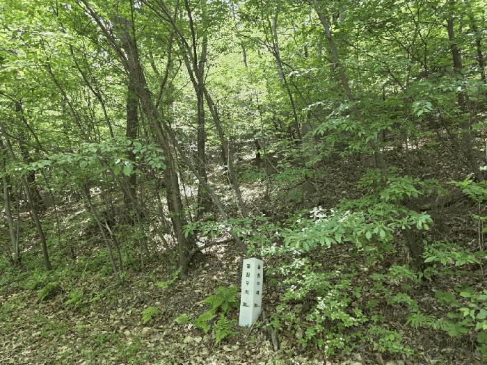 울산광역시 울주군 서생면 화정리 산17 임야 경매 사진 2