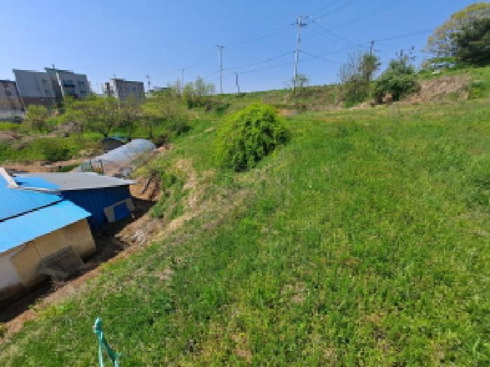 충청남도 당진시 송악읍 가학리 586-1 전 경매 사진 11