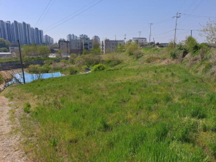 충청남도 당진시 송악읍 가학리 586-1 전 경매 사진 17