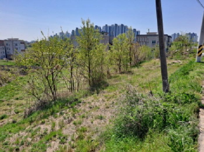 충청남도 당진시 송악읍 가학리 586-1 전 경매 사진 5