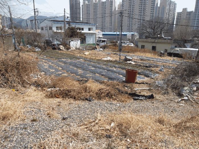 경상남도 양산시 평산동 257-22 답 경매 사진 4