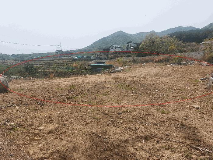 울산광역시 울주군 웅촌면 은현리 1286-6 답 경매 사진 2
