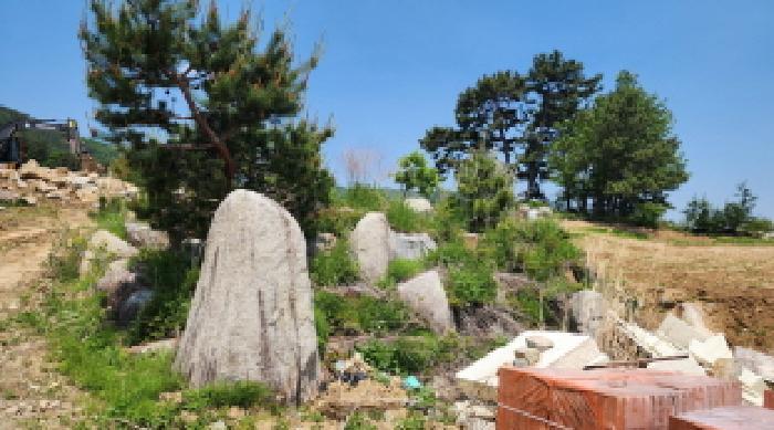 울산광역시 울주군 웅촌면 은현리 1286-6 답 경매 사진 3