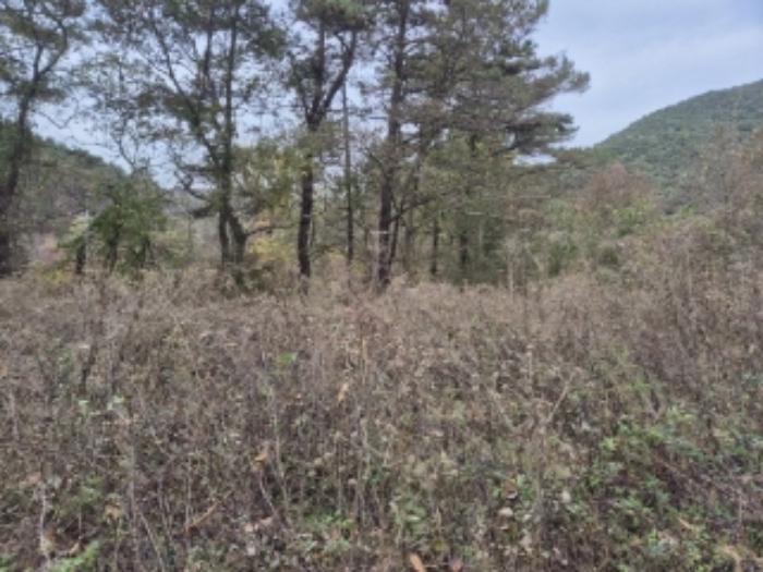 광주광역시 북구 화암동 260 전 경매 사진 5