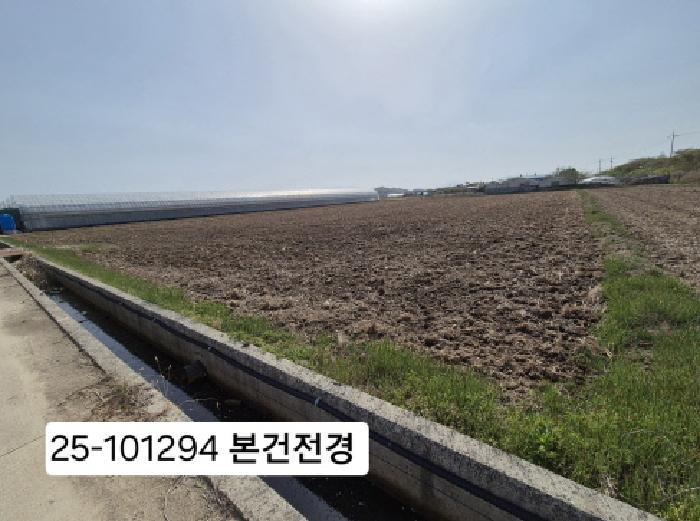 부산광역시 강서구 죽동동 495-9 답 경매 사진 6