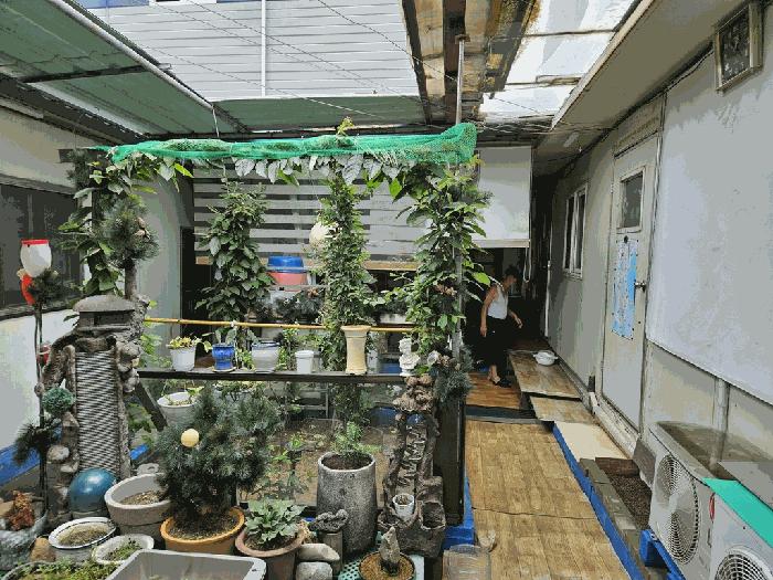 대구광역시 동구 율암동 524-7 대지 경매 사진 13