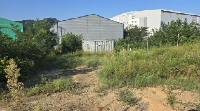 경상북도 칠곡군 지천면 연화리 산114-9 임야 경매 사진 12