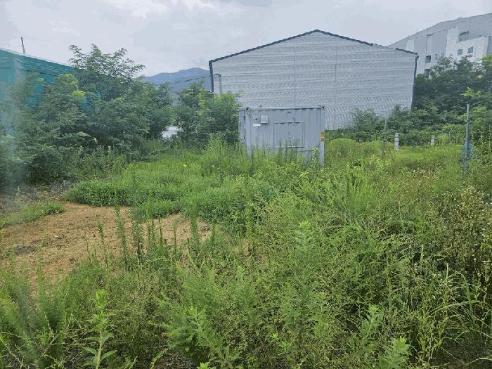 경상북도 칠곡군 지천면 연화리 산114-9 임야 경매 사진 6
