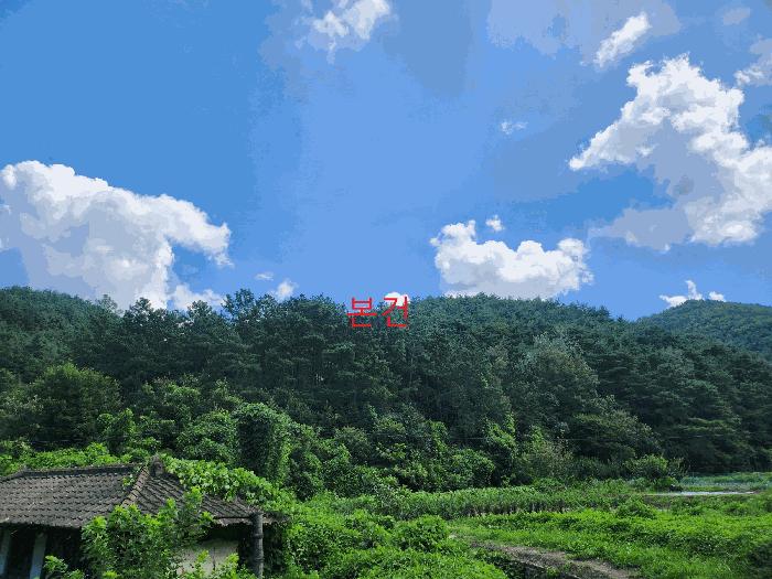 부산 영천시 임야