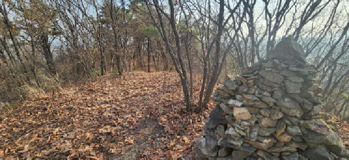 경기도 파주시 검산동 472-13 임야 경매 사진 16