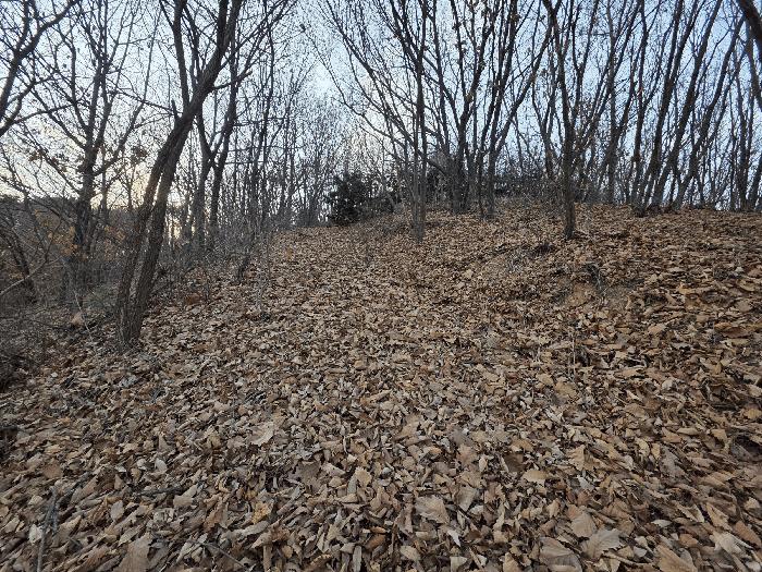 경기도 파주시 검산동 472-13 임야 경매 사진 4