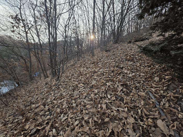 경기도 파주시 검산동 472-13 임야 경매 사진 7