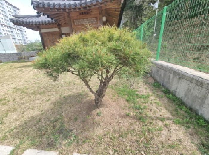 대전광역시 유성구 덕명동 523-33 대지 경매 사진 14