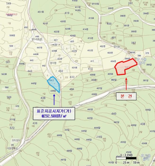 대구광역시 달성군 유가읍 양리 383-1 대지 경매 사진 9