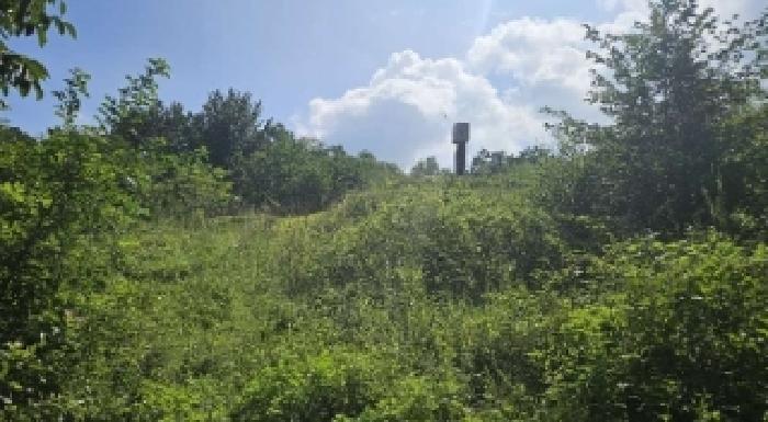 충청남도 금산군 금성면 상가리 406-15 전 경매 사진 13