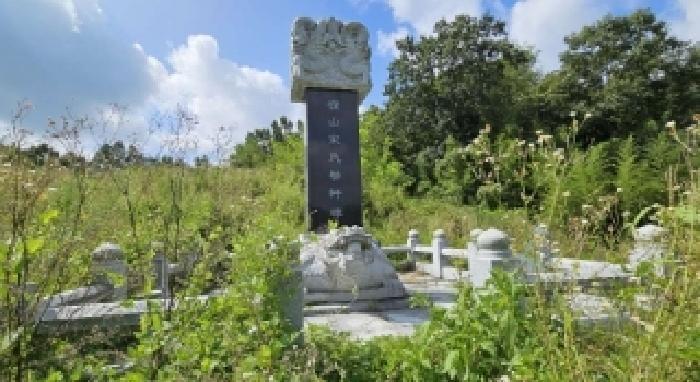 충청남도 금산군 금성면 상가리 406-15 전 경매 사진 16