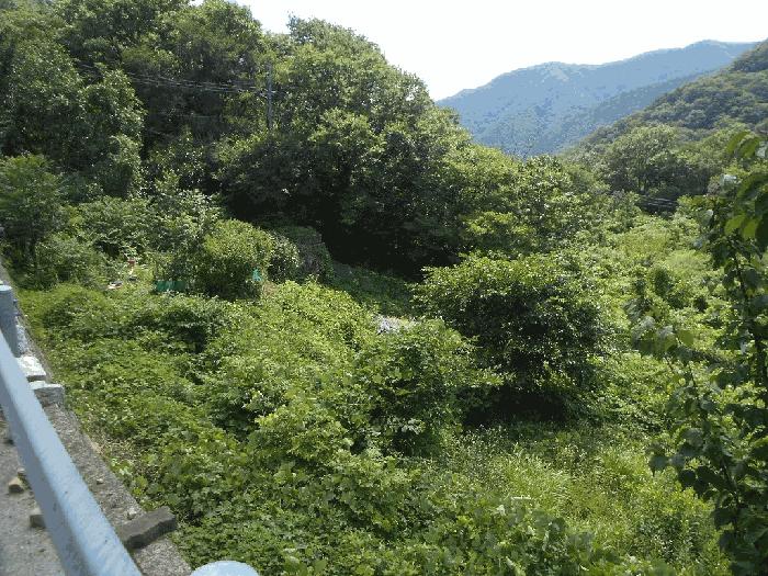 대구광역시 달성군 가창면 오리 936 전 경매 사진 1