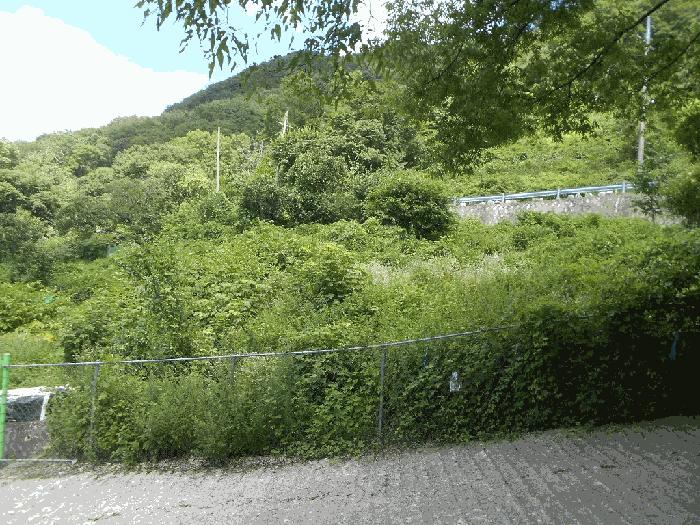 대구광역시 달성군 가창면 오리 936 전 경매 사진 6
