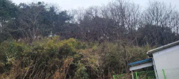 경상북도 청도군 매전면 하평리 산2 임야 경매 사진 3