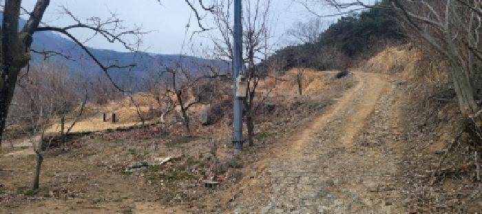 경상북도 청도군 매전면 하평리 산2 임야 경매 사진 4