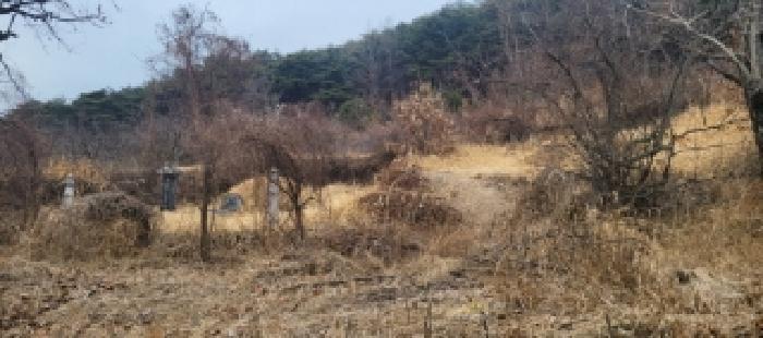 경상북도 청도군 매전면 하평리 산2 임야 경매 사진 5