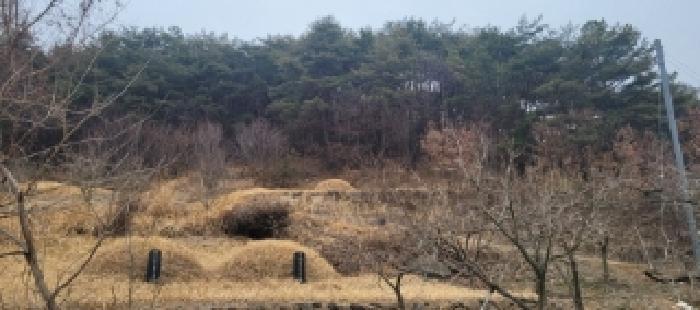 경상북도 청도군 매전면 하평리 산2 임야 경매 사진 8
