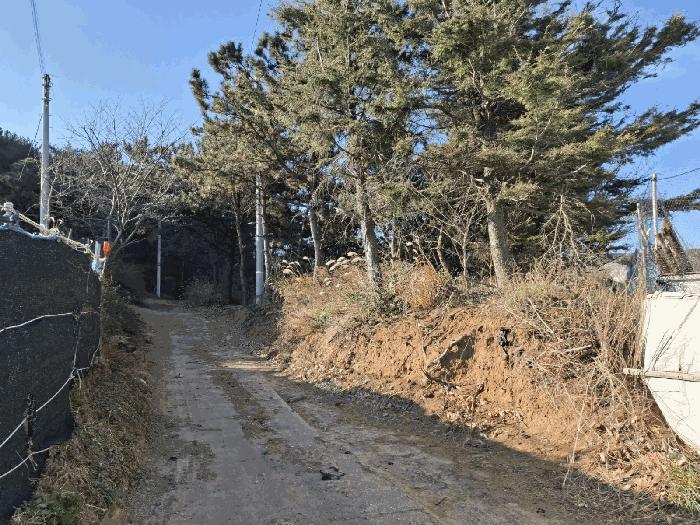 울산광역시 북구 당사동 42 임야 경매 사진 1