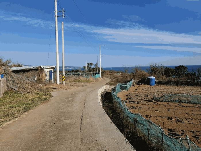 울산광역시 북구 당사동 42 임야 경매 사진 11