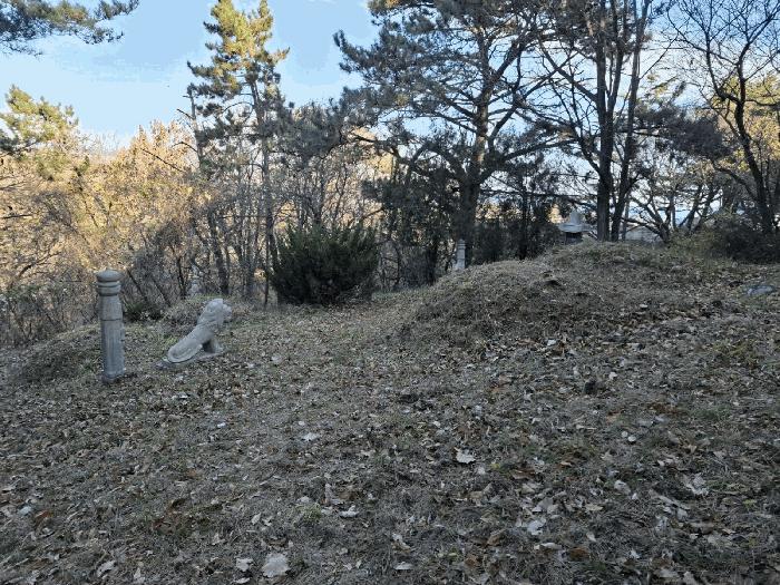 울산광역시 북구 당사동 42 임야 경매 사진 13