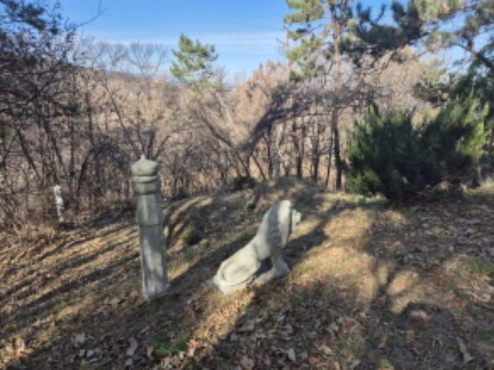 울산광역시 북구 당사동 42 임야 경매 사진 18