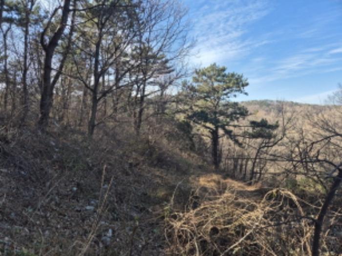 울산광역시 북구 당사동 42 임야 경매 사진 20