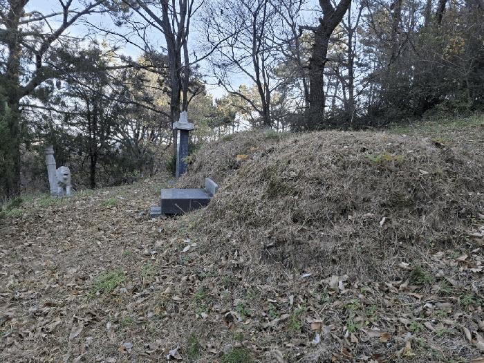 울산광역시 북구 당사동 42 임야 경매 사진 6