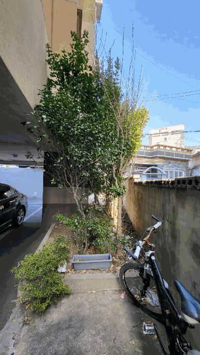 경상남도 양산시 중부동 283 다가구주택 경매 사진 5