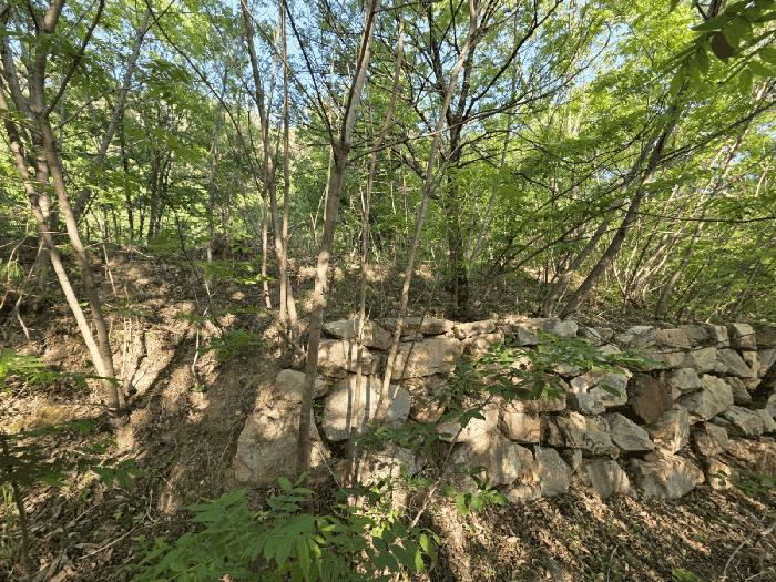 경상남도 양산시 원동면 서룡리 산120-8 임야 경매 사진 3
