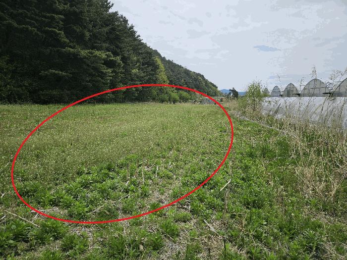 울산광역시 울주군 상북면 궁근정리 152 답 경매 사진 3