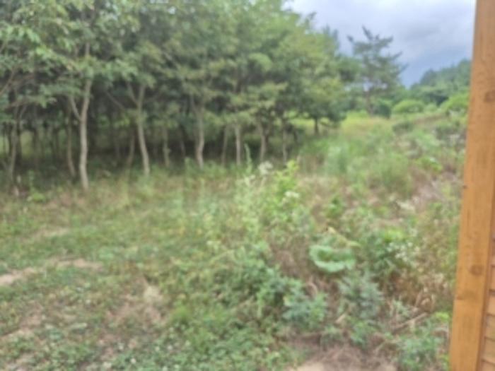 전라남도 화순군 도곡면 쌍옥리 263-7 창고 경매 사진 18