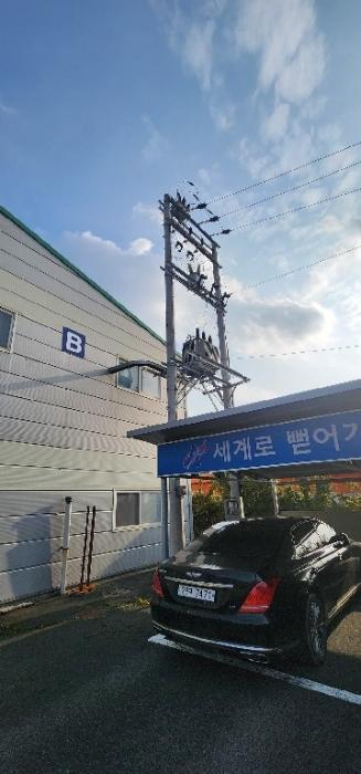 경상북도 영천시 고경면 상덕리 289-1 공장 경매 사진 42
